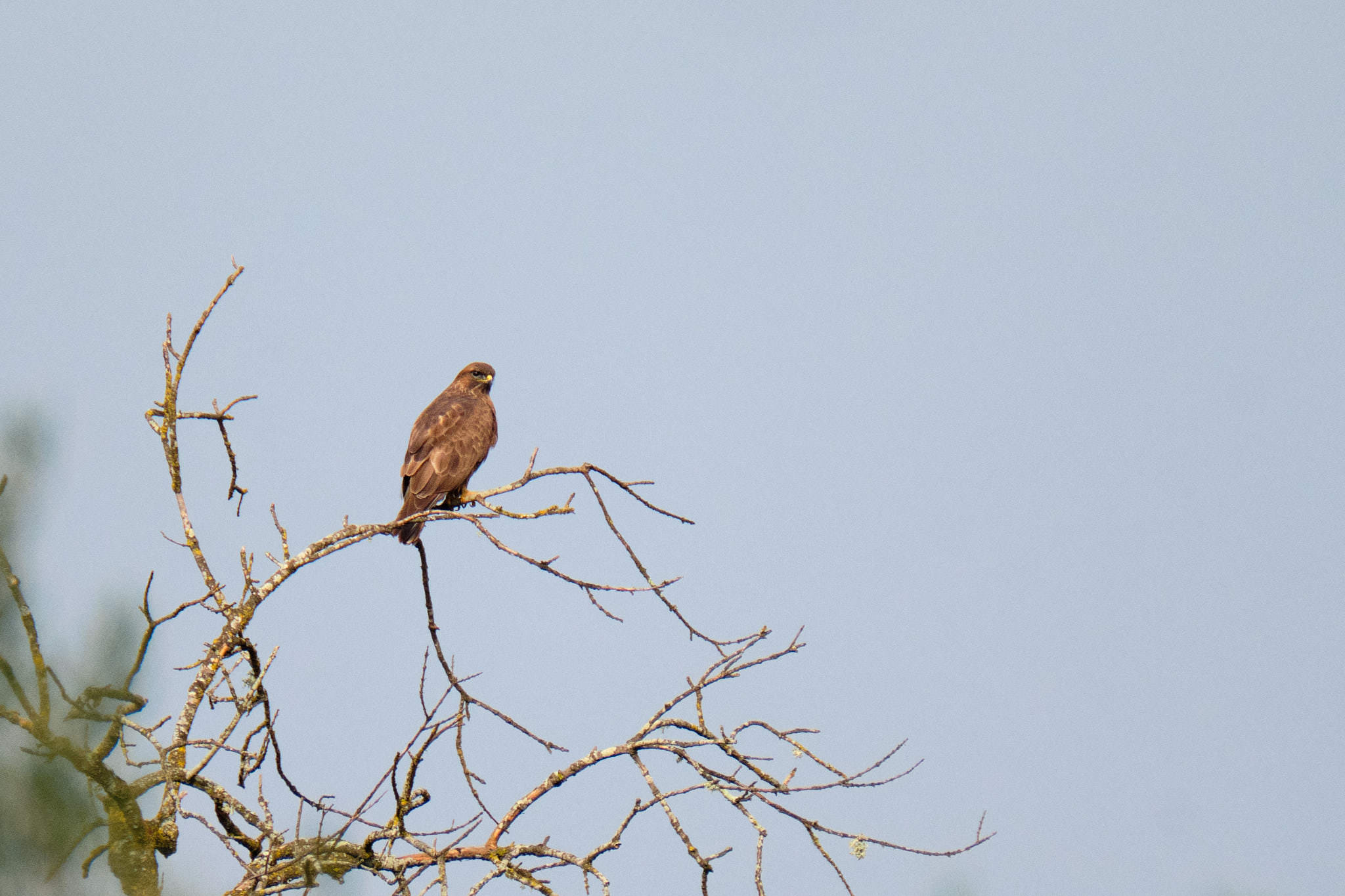 Parque Nacional de Donaña - Andalucia - Spanien